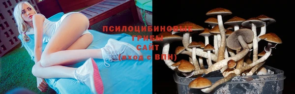 спиды Абаза