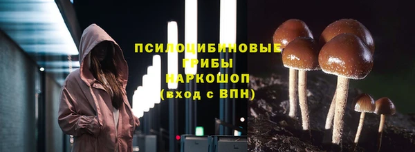 гидра Абинск