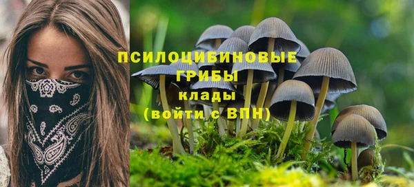спиды Абаза