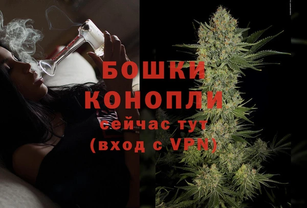 спиды Абаза